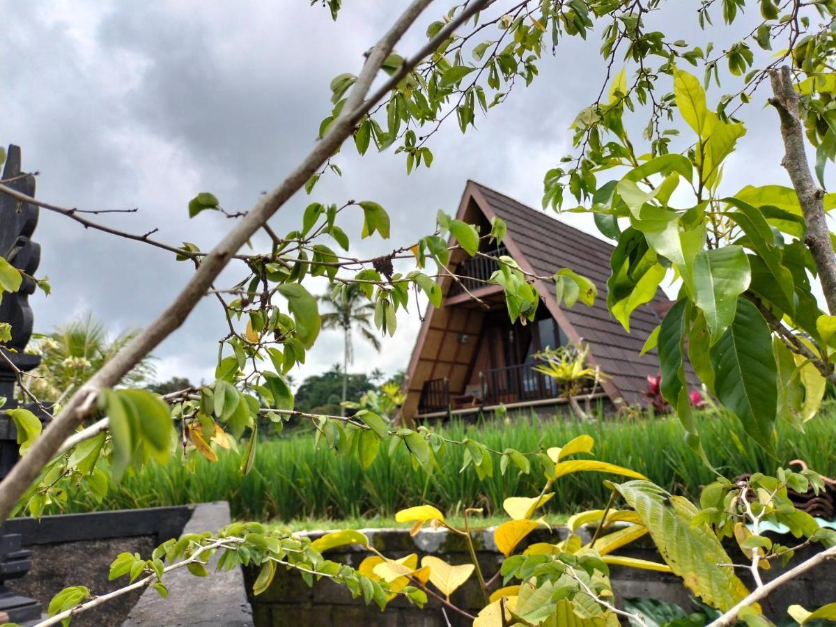 Magical Breeze Cabin Angsri Ngoại thất bức ảnh